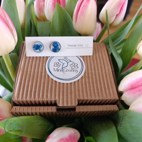 Białe kolczyki z kwiatami niebieskiej gipsówki