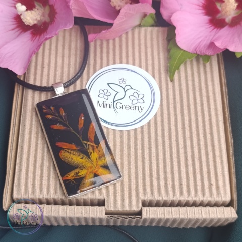 Prostokątny wisior z kwiatami krokosmi 'carmine brilliant'