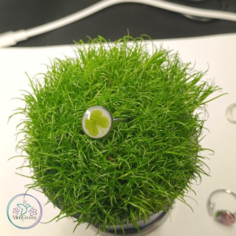 Regulowany pierścionek "Cztery listki szczęścia"