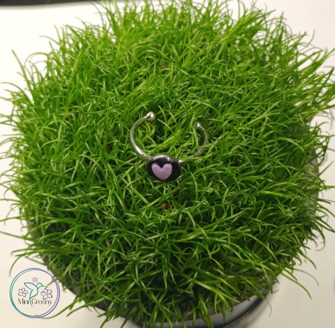 Regulowany pierścionek z lawendowym serduszkiem 